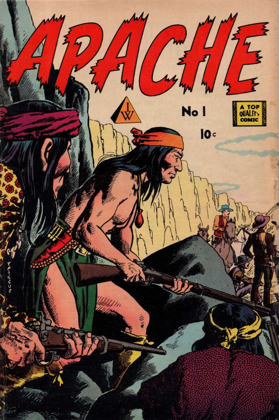 Book Cover For Apache 1