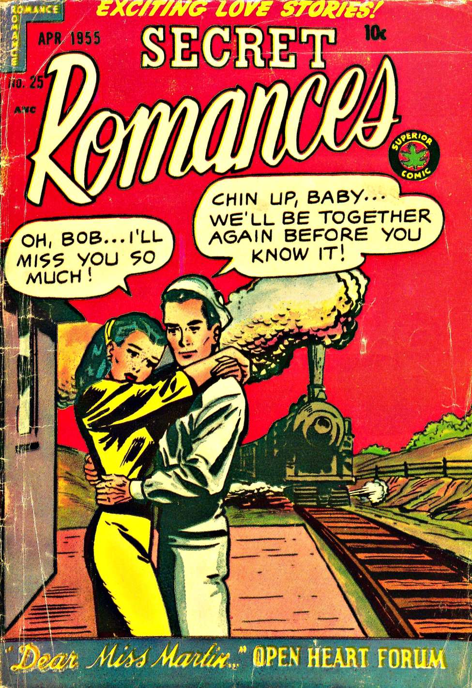 Book Cover For Secret Romances 25