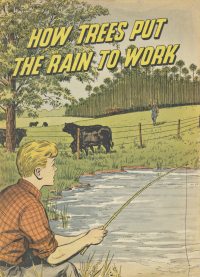 Large Thumbnail For How Trees Put the Rain to Work - International Paper Co