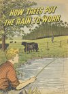 Cover For How Trees Put the Rain to Work - International Paper Co