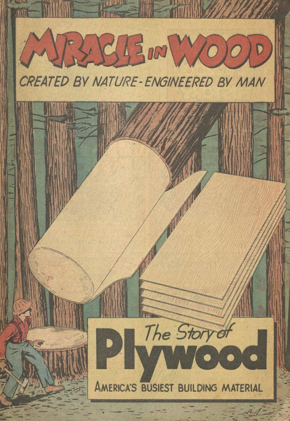 Book Cover For Miracle In Wood - Douglas Fir Plywood