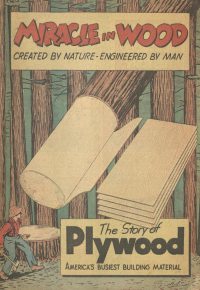 Large Thumbnail For Miracle In Wood - Douglas Fir Plywood