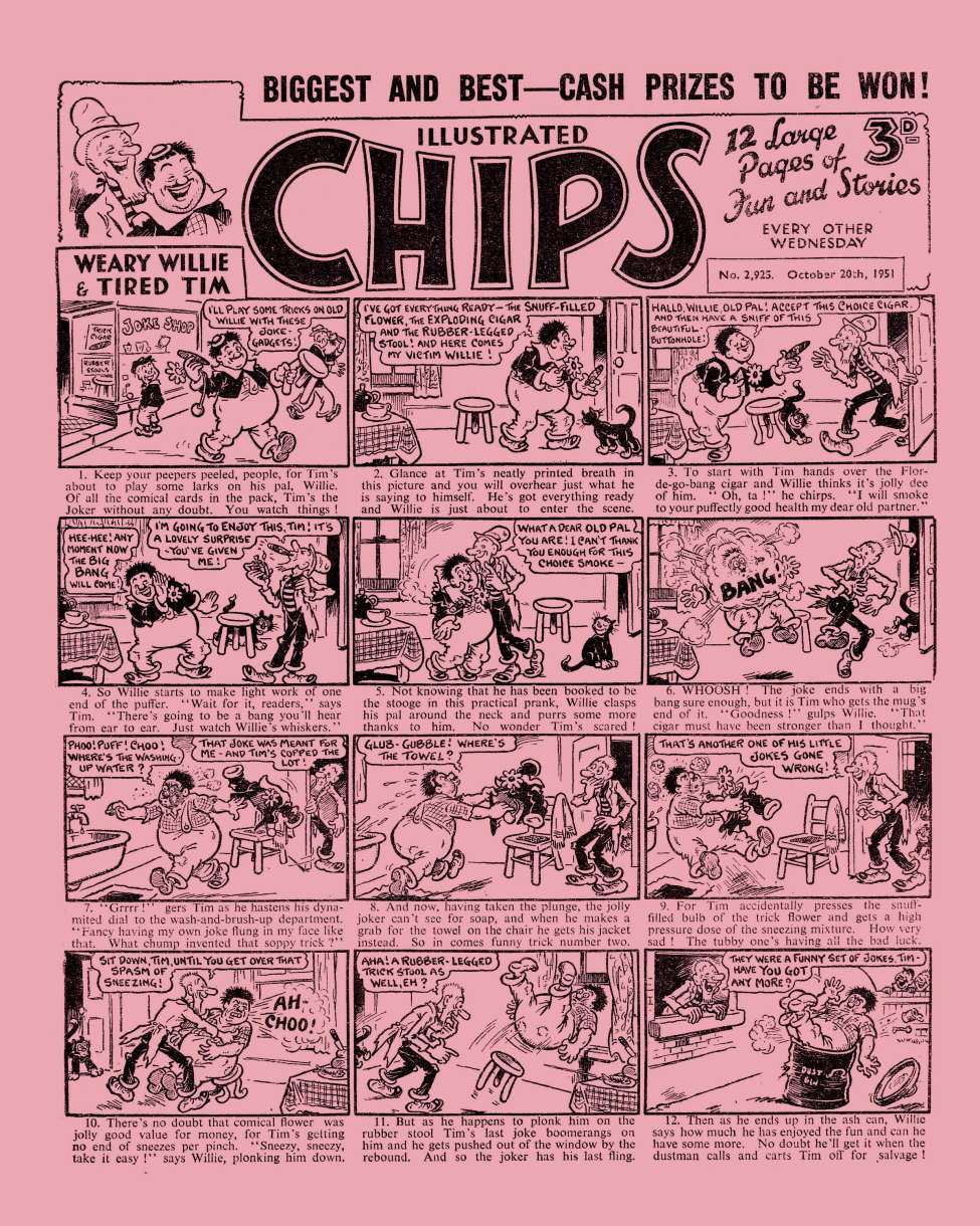 Book Cover For Illustrated Chips 2925