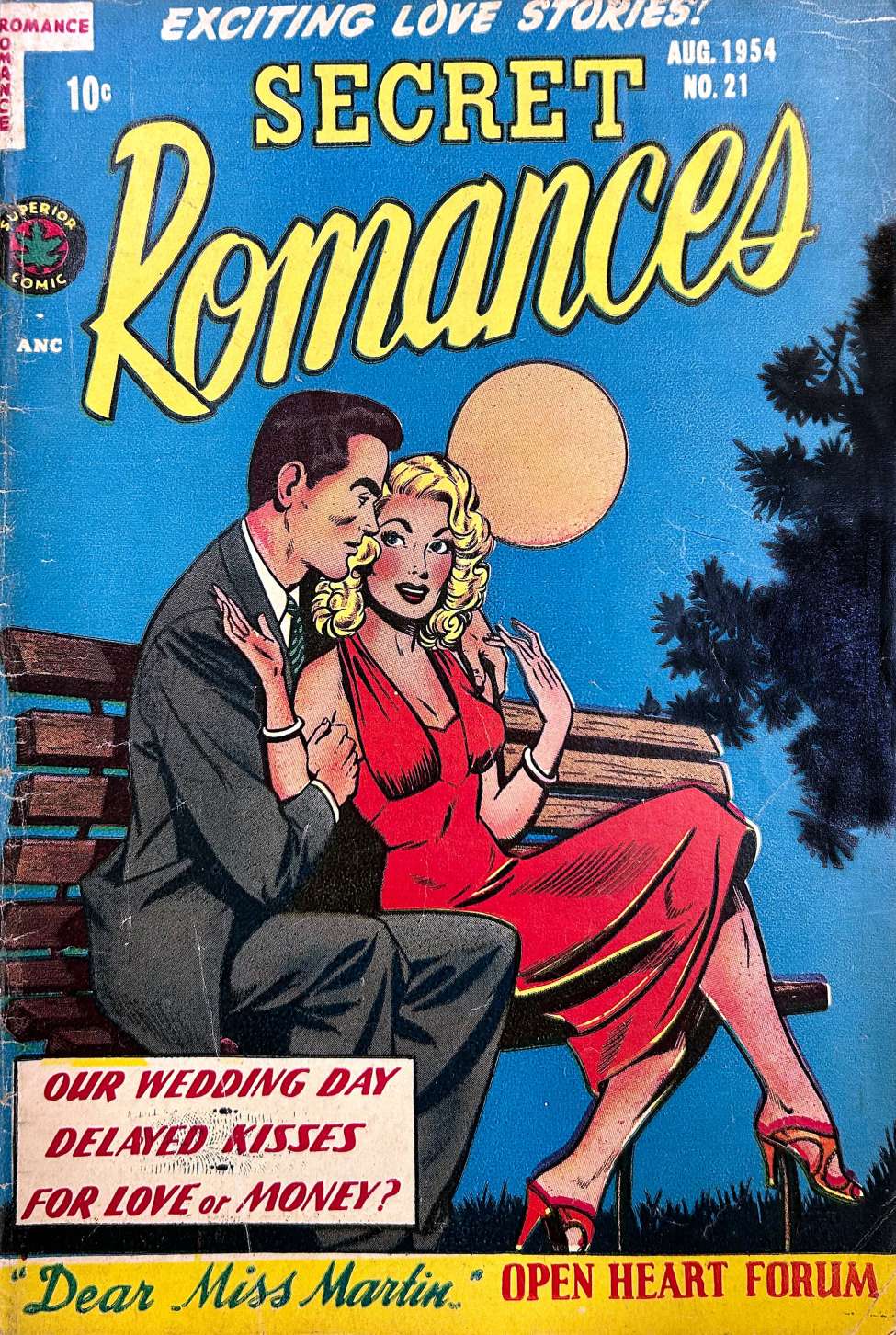 Book Cover For Secret Romances 21