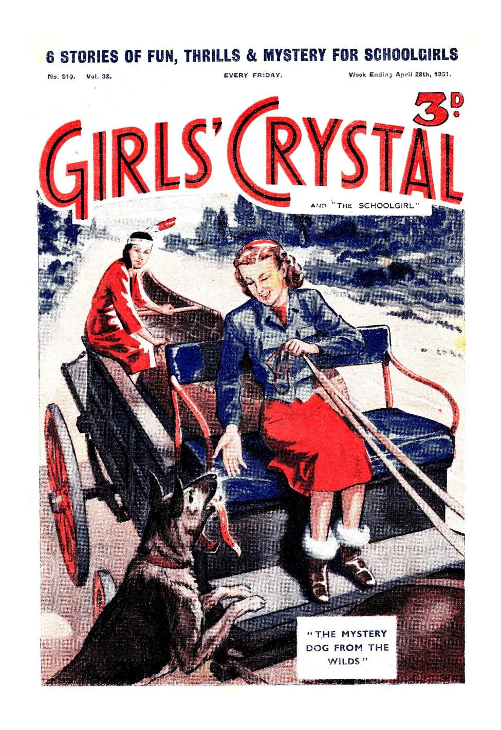 Book Cover For Girls' Crystal 810 - The Mystery Dog from The Wilds