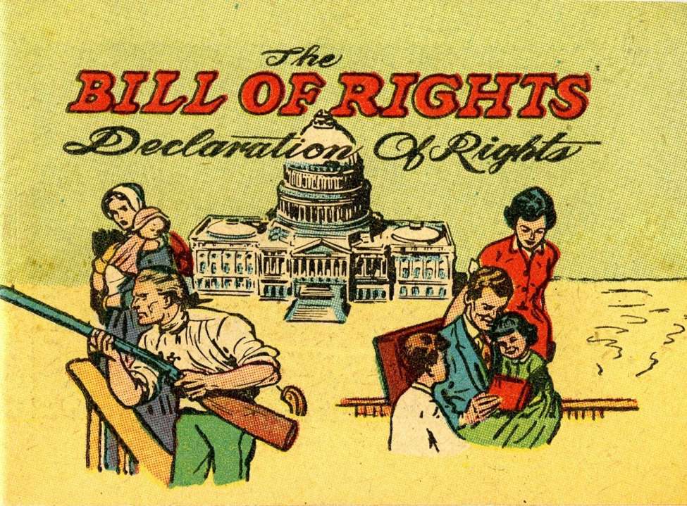 Book Cover For The Bill of Rights