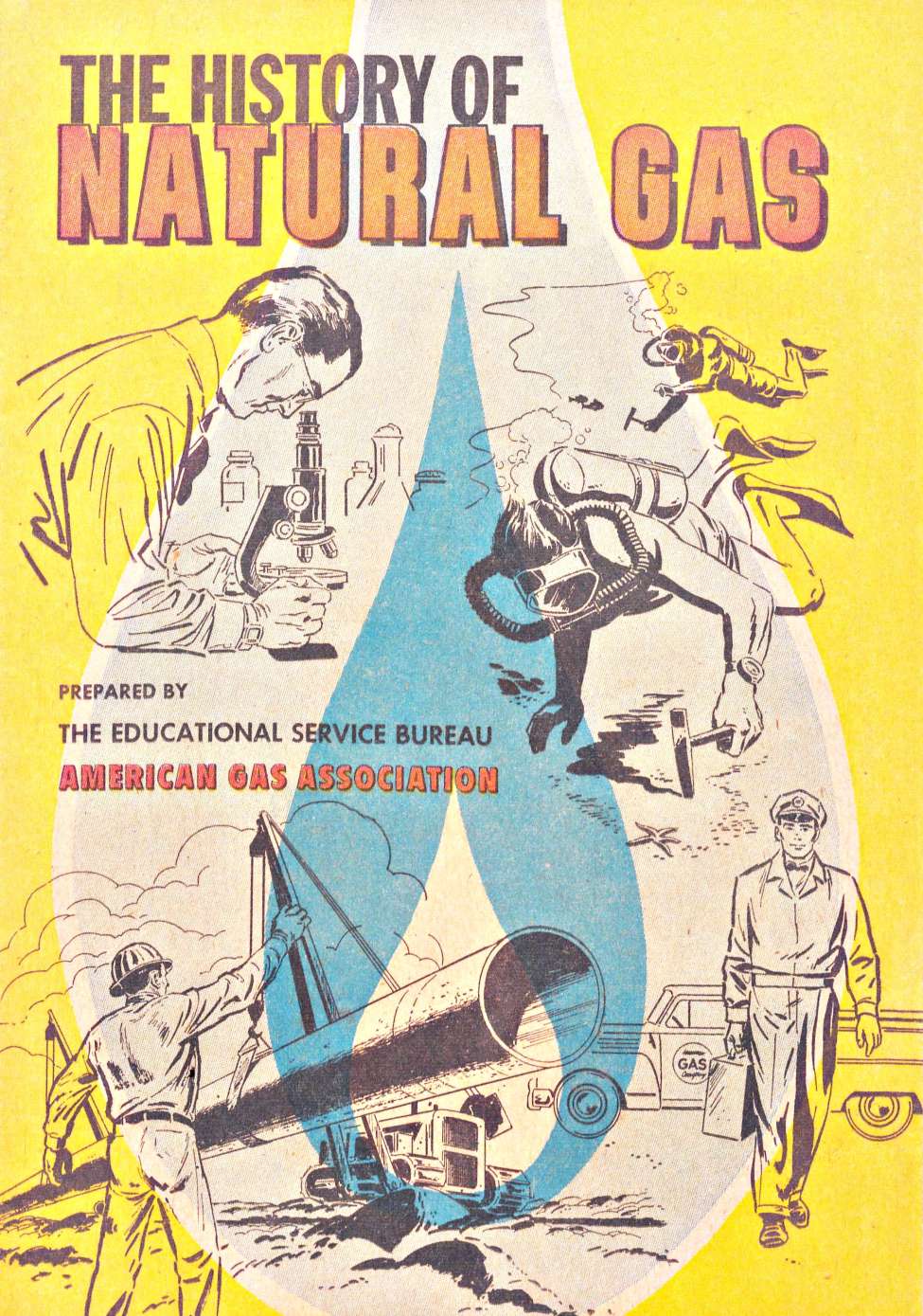 Book Cover For History of Natural Gas - American Gas Association