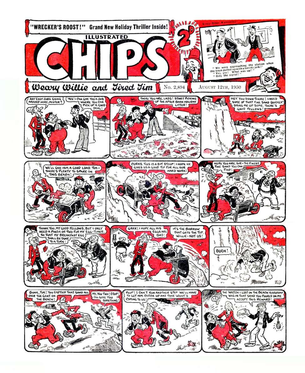 Book Cover For Illustrated Chips 2894