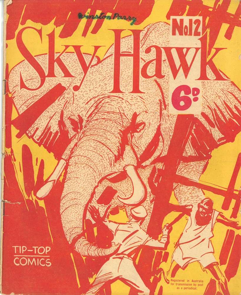 Book Cover For Sky Hawk 12