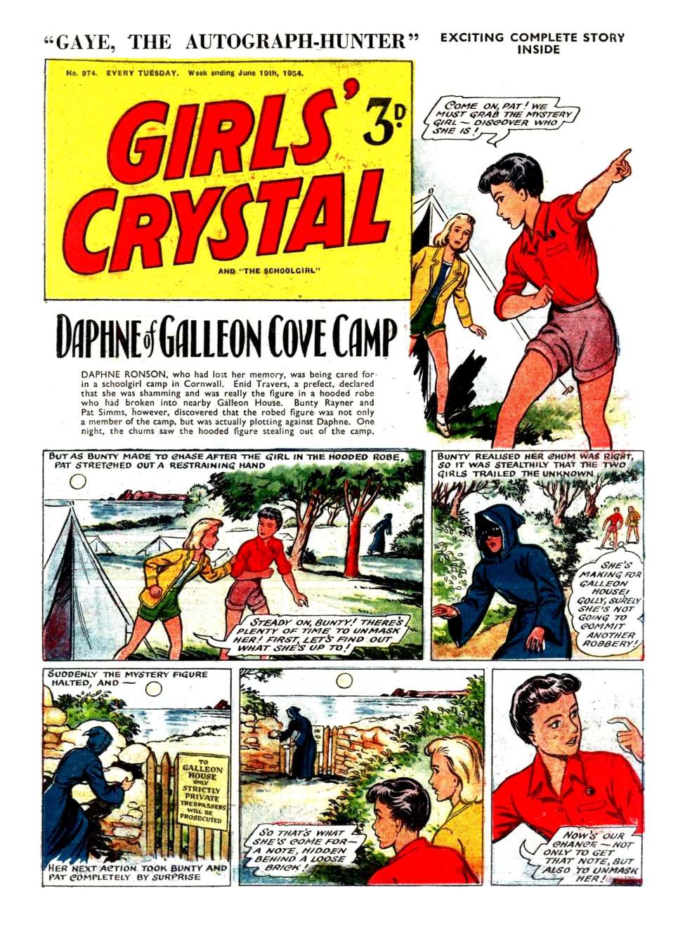 Book Cover For Girls' Crystal 974