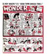 Cover For Wonder 1620