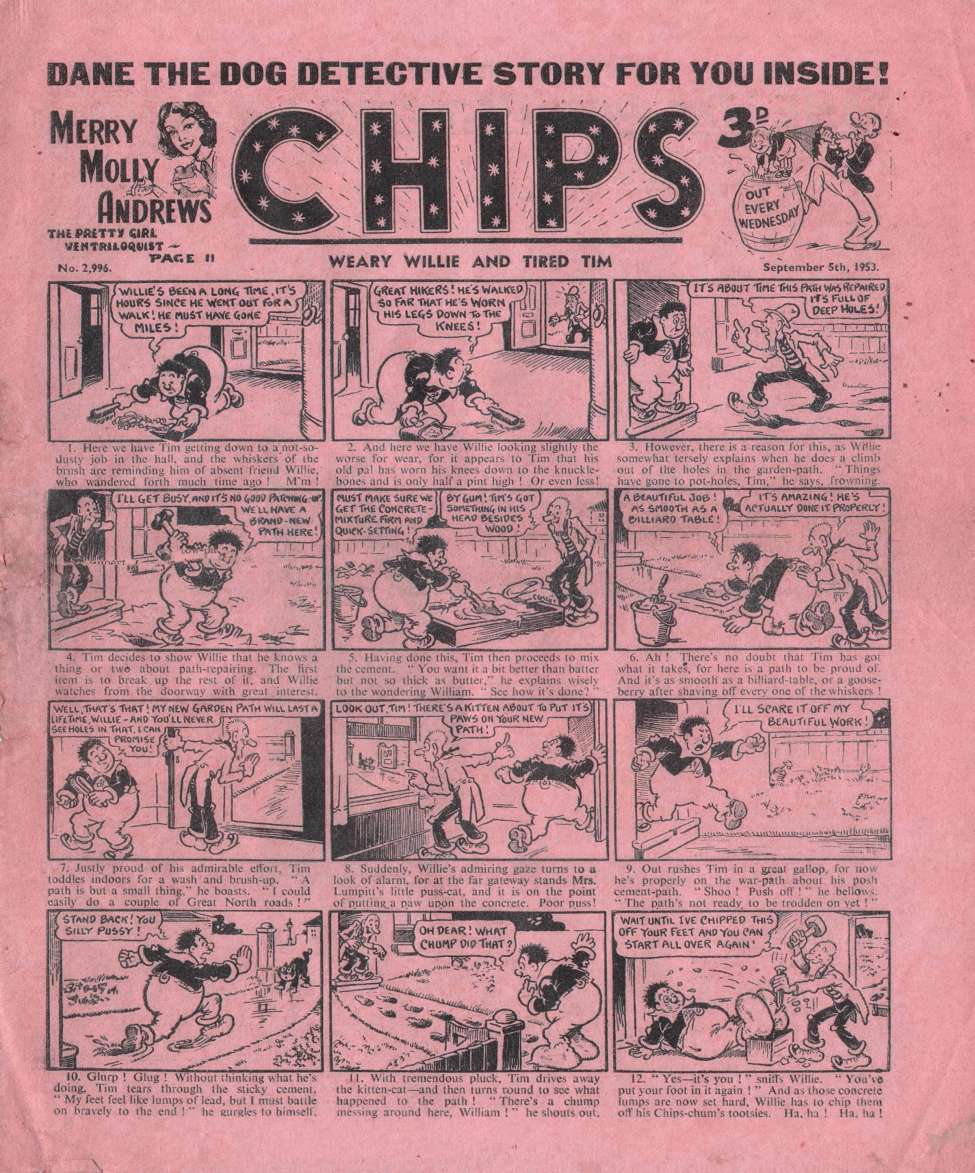 Book Cover For Illustrated Chips 2996