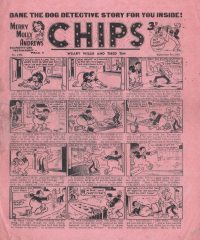 Large Thumbnail For Illustrated Chips 2996