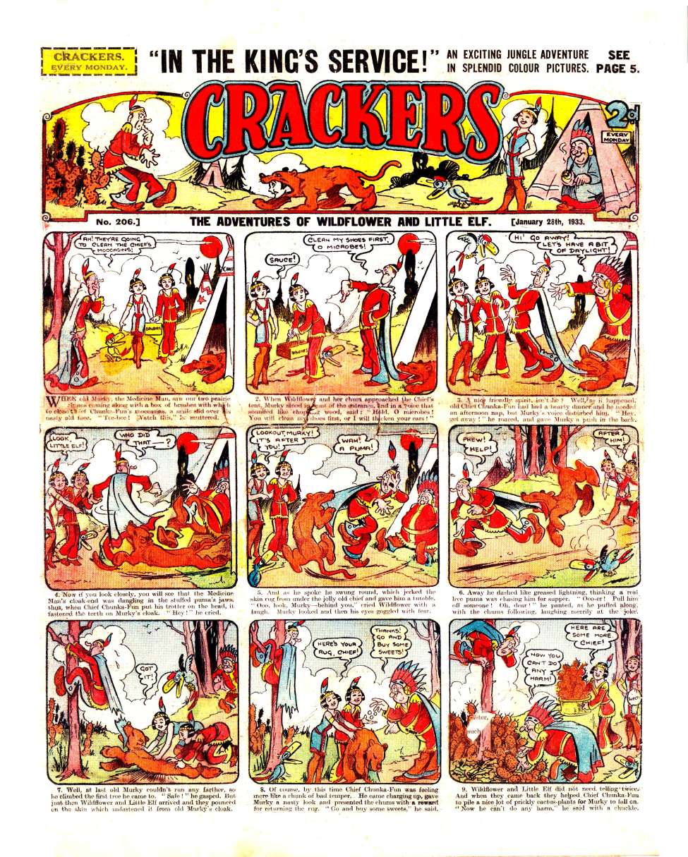 Book Cover For Crackers 206