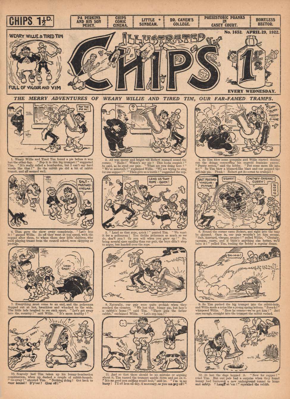 Book Cover For Illustrated Chips 1652