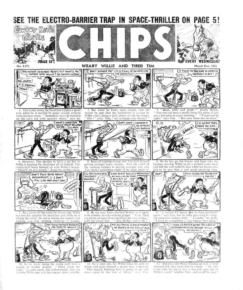 Book Cover For Illustrated Chips 2972