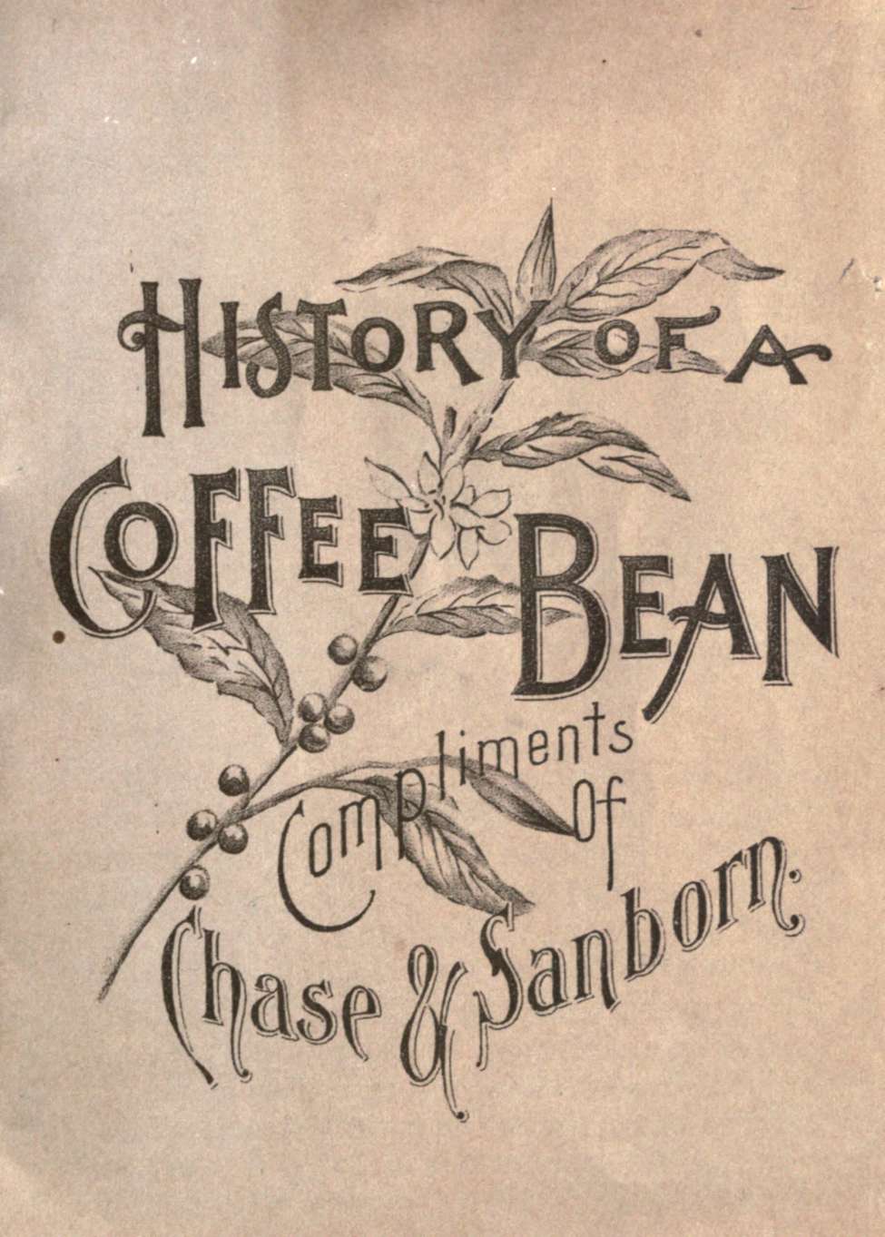 Book Cover For History of a Coffee Bean - Palmer Cox
