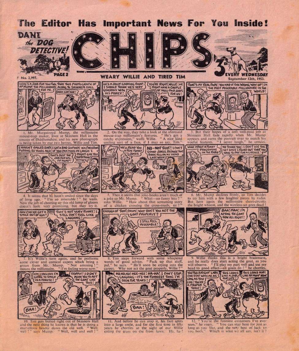 Book Cover For Illustrated Chips 2997