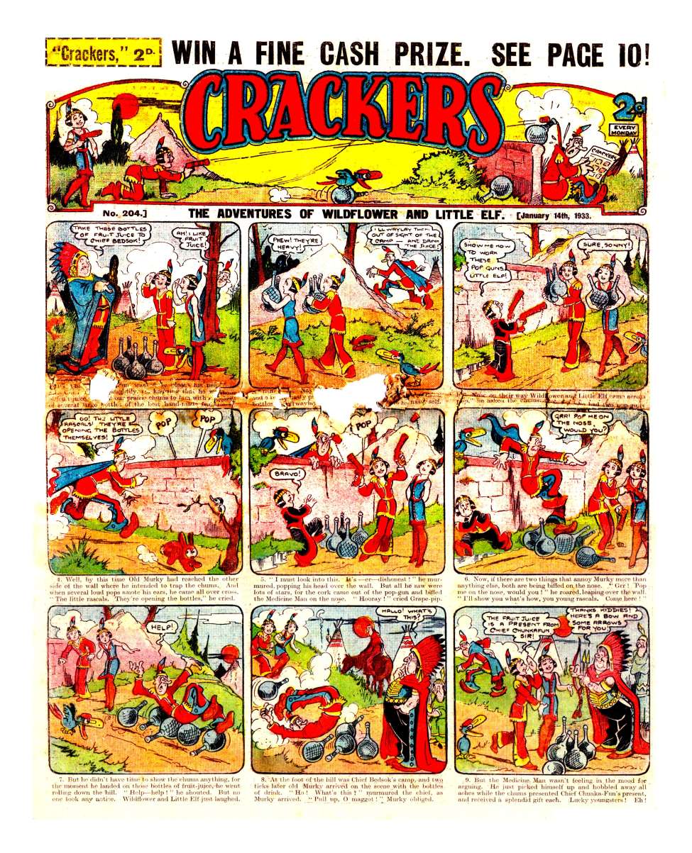 Book Cover For Crackers 204