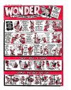 Cover For Wonder 1583