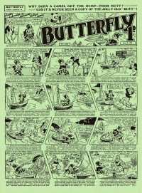 Large Thumbnail For Butterfly 1162