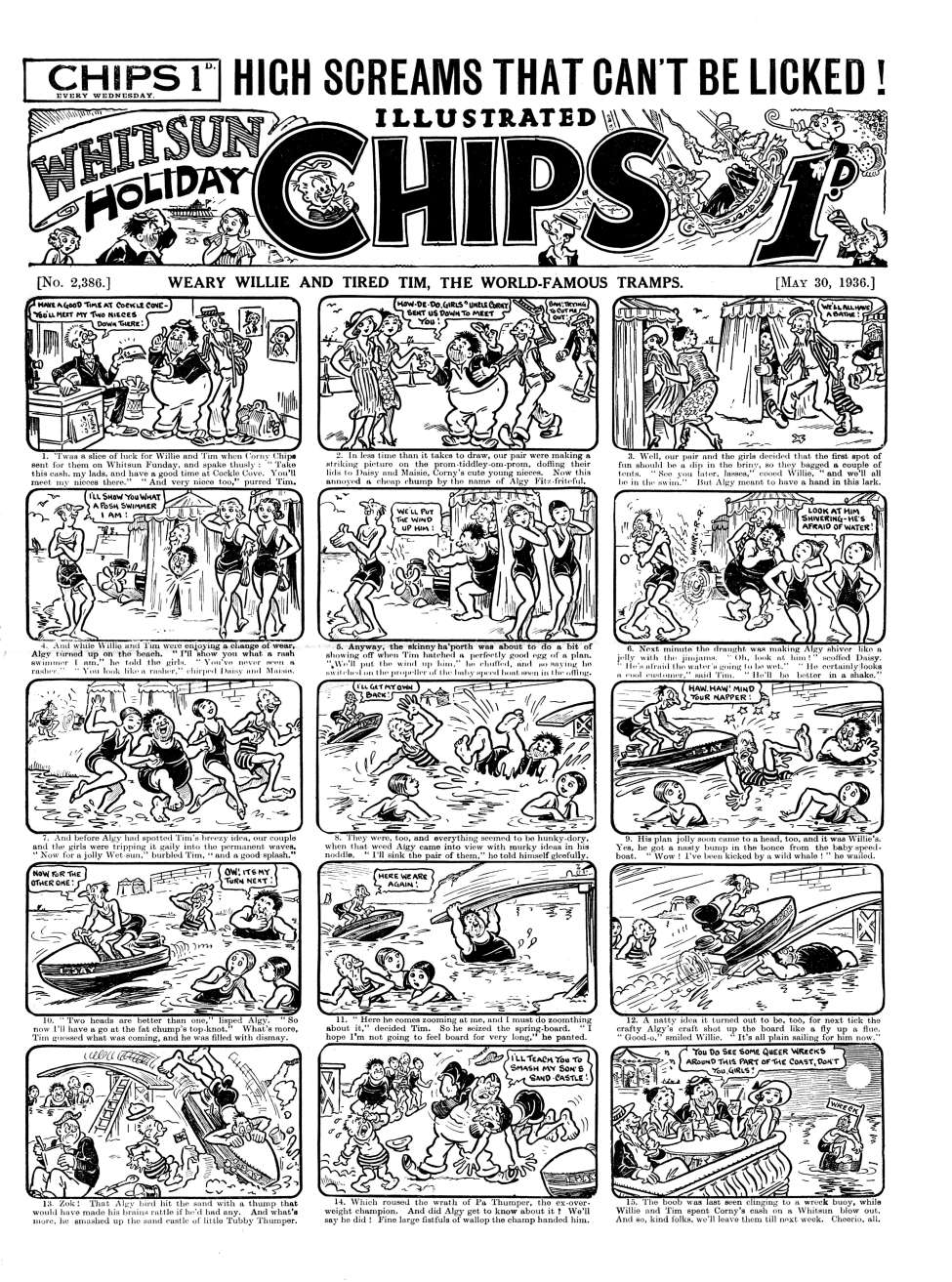 Book Cover For Illustrated Chips 2386