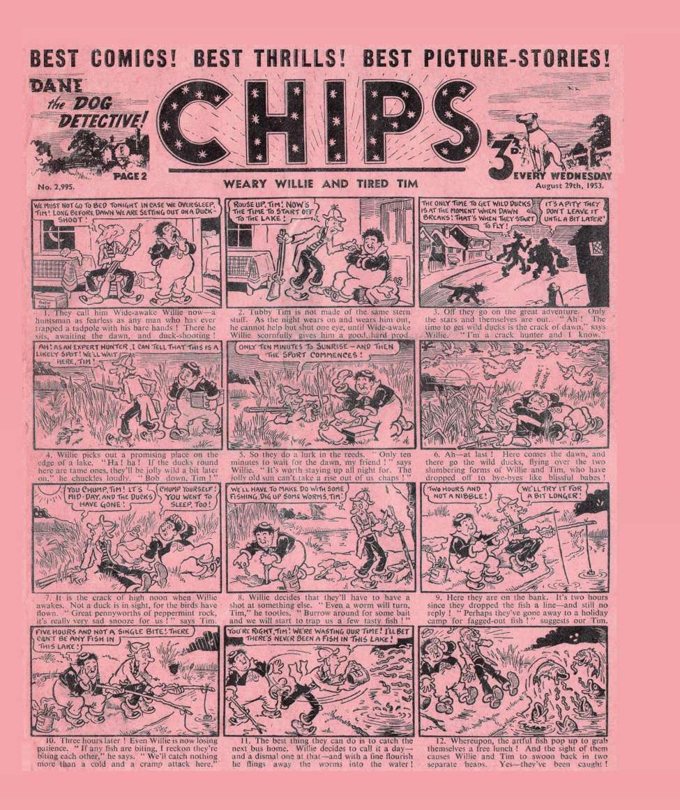 Book Cover For Illustrated Chips 2995
