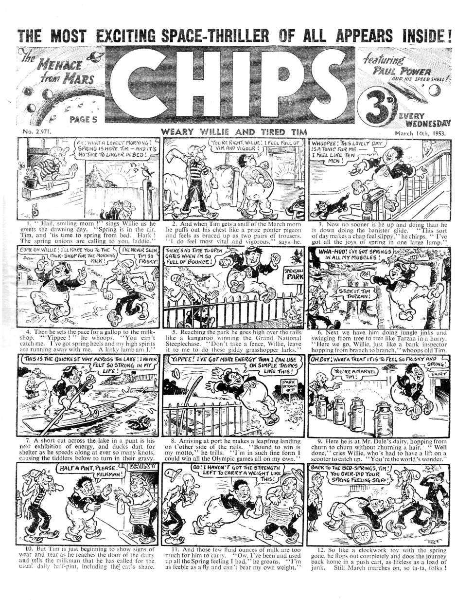 Book Cover For Illustrated Chips 2971