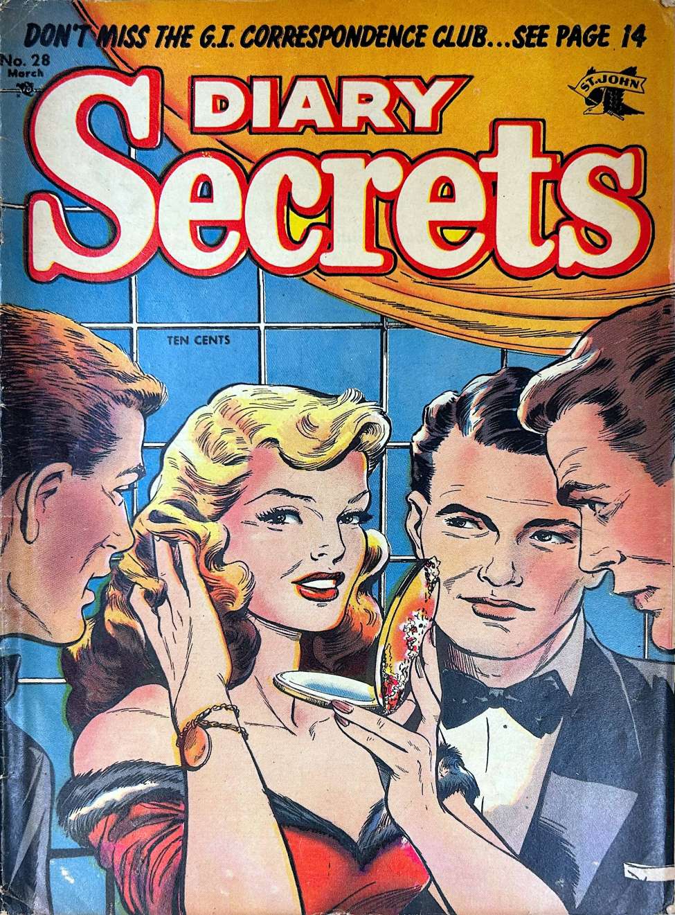 Book Cover For Diary Secrets 28