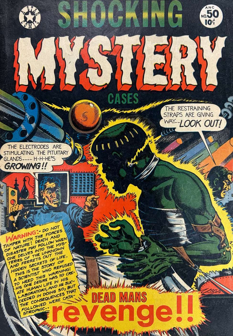 Book Cover For Shocking Mystery Cases 50