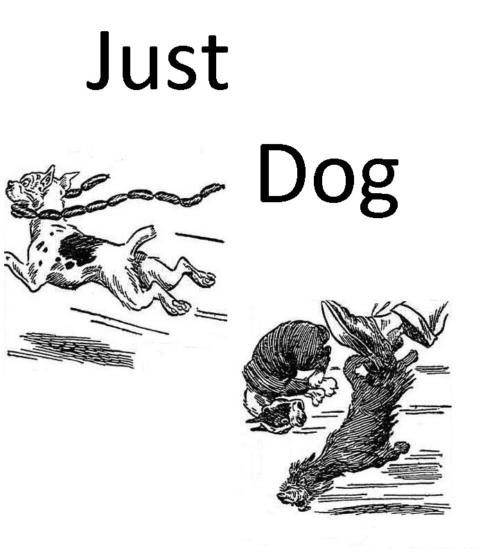 Book Cover For Just Dog