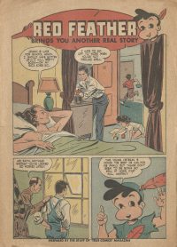 Large Thumbnail For Red Feather - Another Real Story