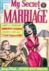 Cover For My Secret Marriage 9