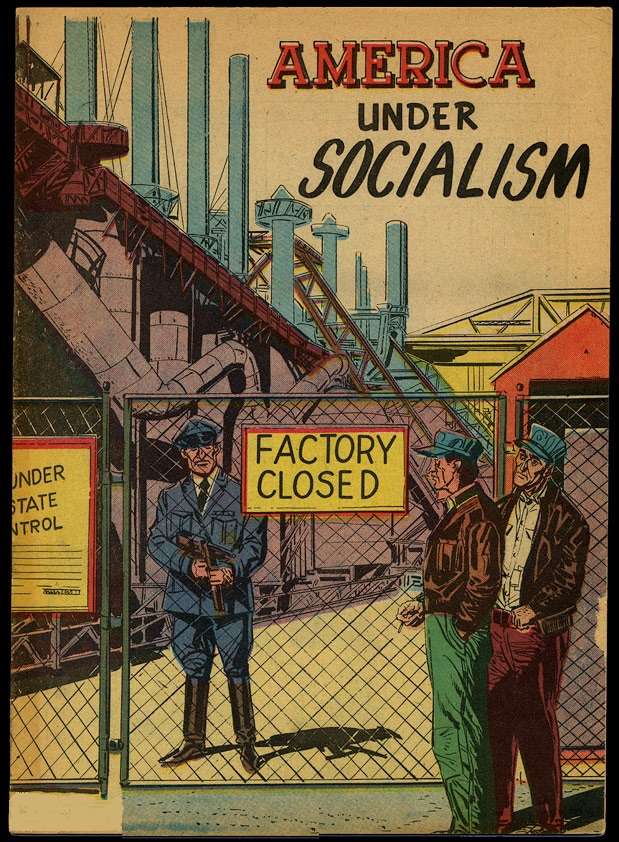 Book Cover For America Under Socialism