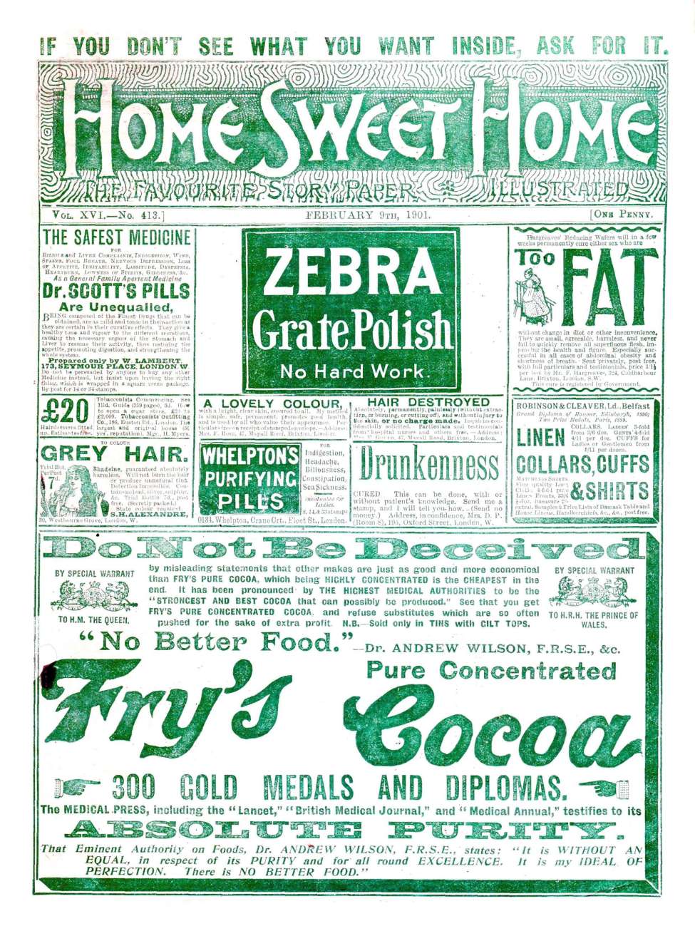 Book Cover For Home Sweet Home 413