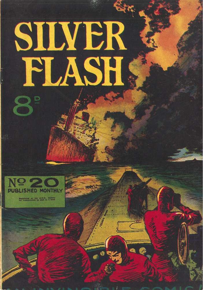 Book Cover For Silver Flash 20