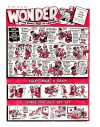 Cover For Wonder 1548