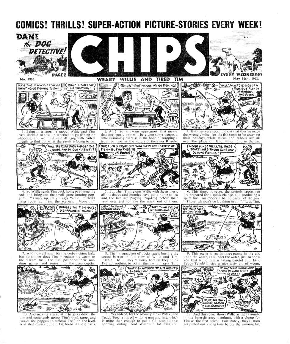 Book Cover For Illustrated Chips 2980