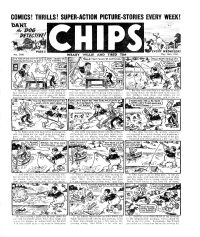 Large Thumbnail For Illustrated Chips 2980